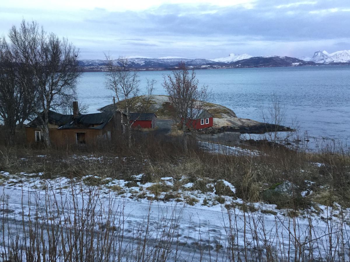 Camp Saltstraumen-Elvegard Ξενοδοχείο Μπόντο Εξωτερικό φωτογραφία