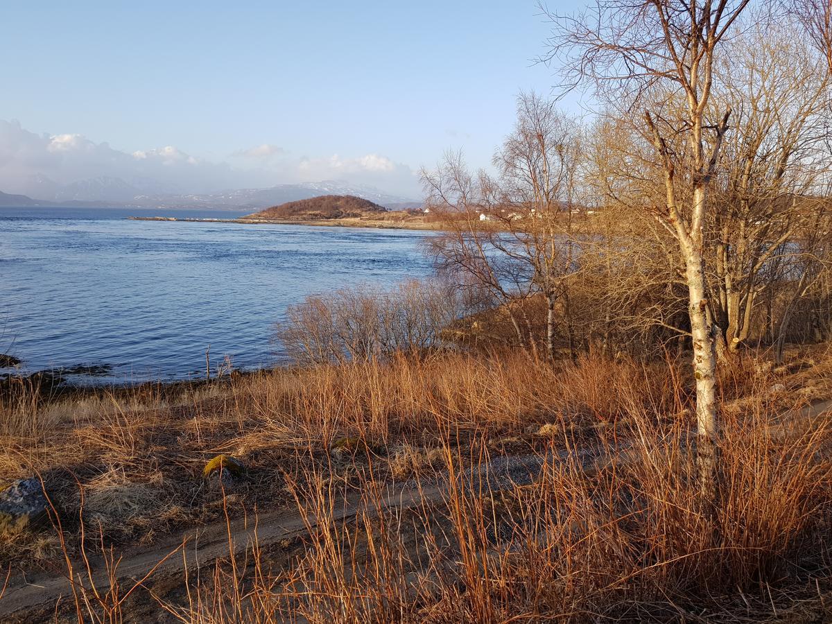 Camp Saltstraumen-Elvegard Ξενοδοχείο Μπόντο Εξωτερικό φωτογραφία