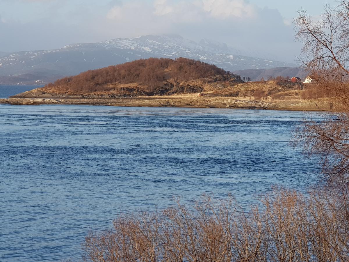 Camp Saltstraumen-Elvegard Ξενοδοχείο Μπόντο Εξωτερικό φωτογραφία